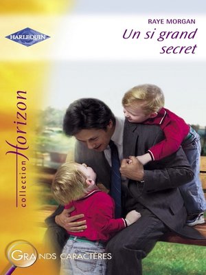 cover image of Un si grand secret (Harlequin Horizon)